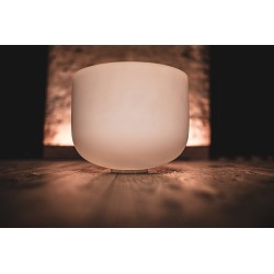 MEINL CSB11F White