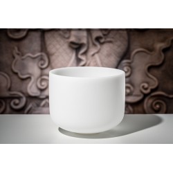 MEINL CSB11F White