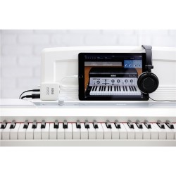KORG plugKEY WH