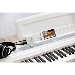 KORG plugKEY WH