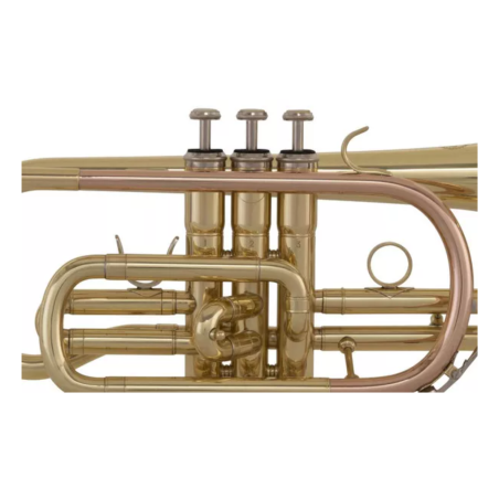 Grassi SC240