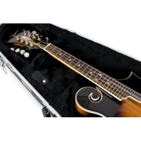 Gator GC-Mandolin