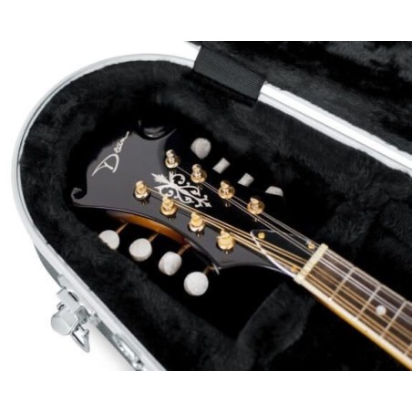 Gator GC-Mandolin