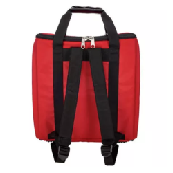 Roland BAG-FR-1