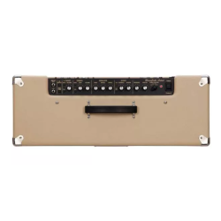 Roland Blues Cube Artist212