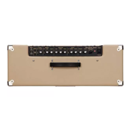Roland Blues Cube Artist212