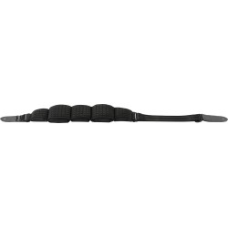 Ibanez BWS900