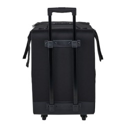 Electro Voice EVOLVE30M-Case