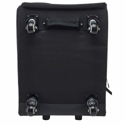Electro Voice EVOLVE30M-Case