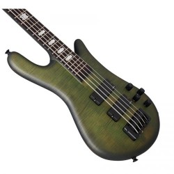 Spector Euro 5 LX Haunted Moss Matte