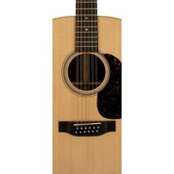 Martin Grand J-16E 12-Strings