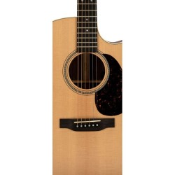 Martin GPC-16E-01 Rosewood
