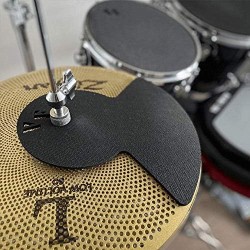 Vic Firth Mute PP4