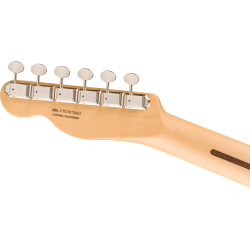Fender American Performer Telecaster MN Mocha