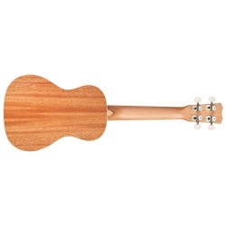 Cordoba 15CM Matiz Mango
