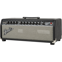 Fender Bassman 800 Head
