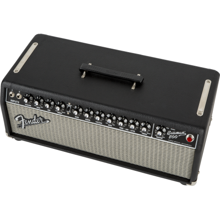 Fender Bassman 800 Head