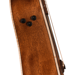 Fender Redondo Special Honey Burst