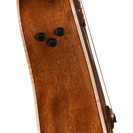 Fender Redondo Special Honey Burst