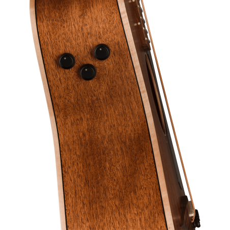Fender Malibu Special Natural