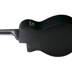 Ibanez AEG721-BOT Black Out