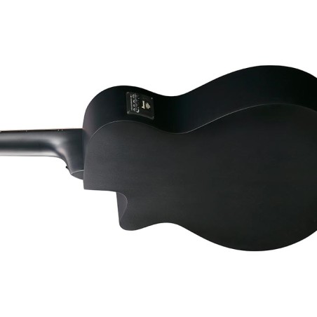 Ibanez AEG721-BOT Black Out