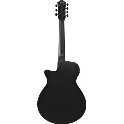 Ibanez AEG721-BOT Black Out