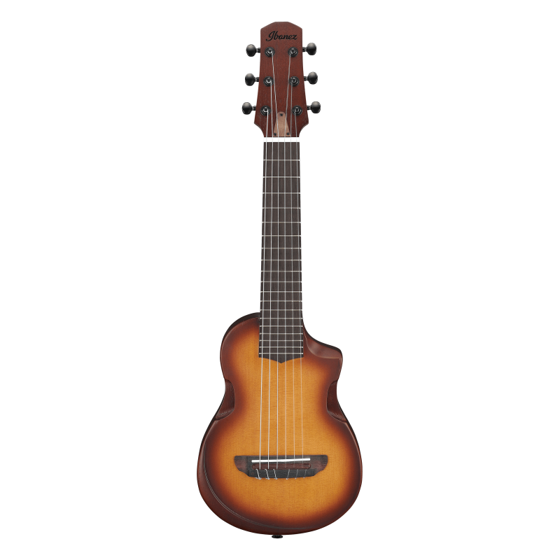 Ibanez AUP10N-OLB Open Pore Light Brown Sunburst