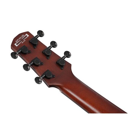 Ibanez AUP10N-OLB Open Pore Light Brown Sunburst