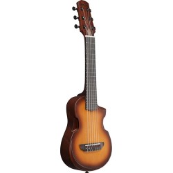 Ibanez AUP10N-OLB Open Pore Light Brown Sunburst
