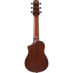 Ibanez AUP10N-OLB Open Pore Light Brown Sunburst