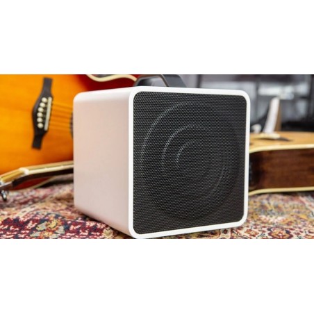 Eko E-AMP Eclectic Amp