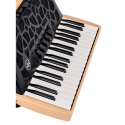 HOHNER BRAVO myColor iii 72 Earth