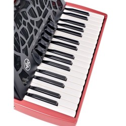 HOHNER BRAVO myColor iii 72 Fire