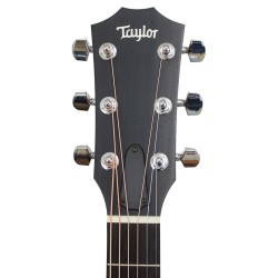 Taylor 110CE Sapele/Spruce