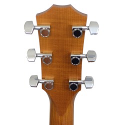 Taylor 110CE Sapele/Spruce