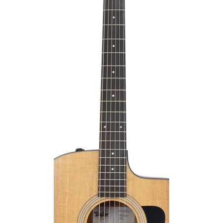Taylor 110CE Sapele/Spruce