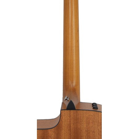 Taylor 110CE Sapele/Spruce