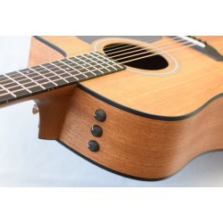 Taylor 110CE Sapele/Spruce