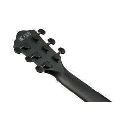 Ibanez AEWC621-BOT Black Out