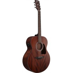 Ibanez AJ54E-OPN Open Pore Natural