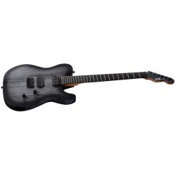 LTD TE-1000 Silver Blast