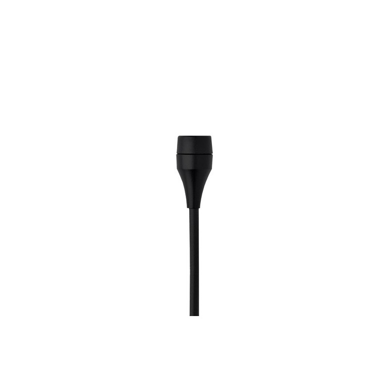 AKG C417 PP