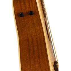 Fender Malibu Player WN Natural