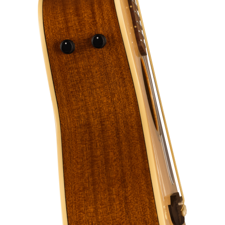 Fender Malibu Player WN Natural