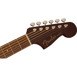 Fender Malibu Player WN Natural