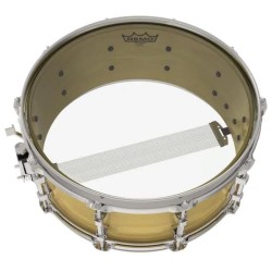 REMO Diplomat 8" BD-0308-00