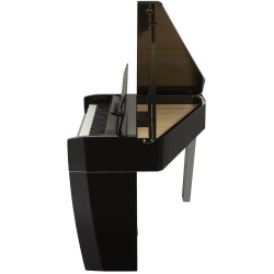 Dexibell VIVO H10MG Black Polished