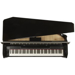 Dexibell VIVO H10MG Black Polished