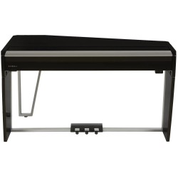 Dexibell VIVO H10MG Black Polished